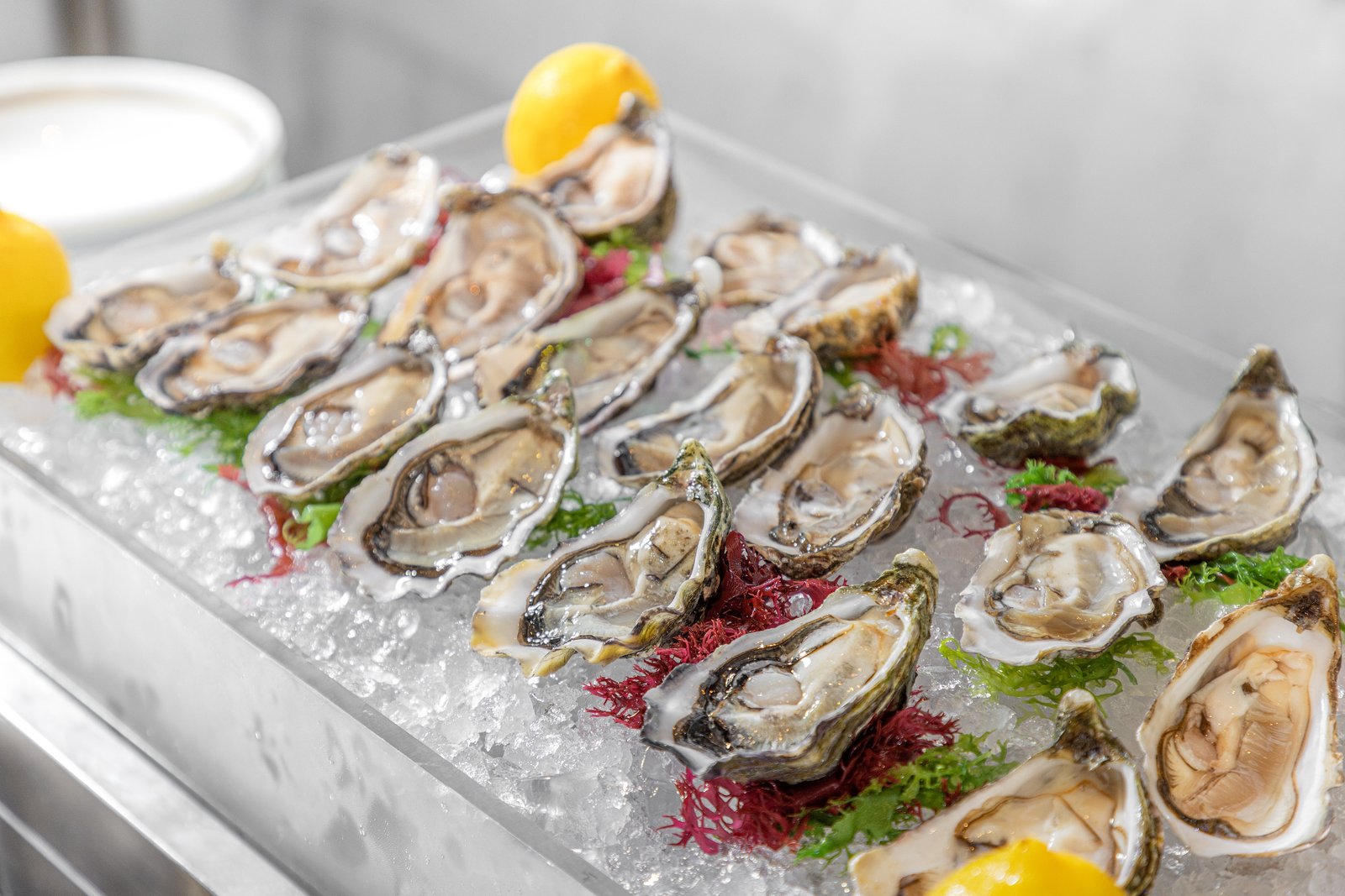 香港美利酒店自助餐